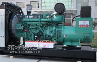 德宏靜音柴油發電機 昆明東本機電設備公司圖片