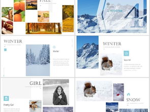 動(dòng)感時(shí)尚圖文排版 從精美畫冊到商務(wù)PPT的視覺藝術(shù)