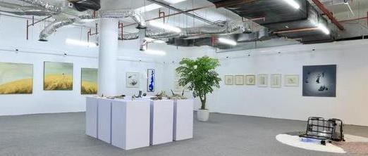 廈門(mén)淘寶好去處 鷺江古玩中心盛大啟幕，藝術(shù)收藏新風(fēng)尚
